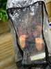 Baby in a bag, wet walk home from school drop off.