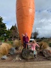 Carrot park action followed by cousin action...