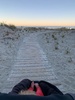 Early morning juni rise 5.30am, walked across to the sandbar. Magic. Followed with a raglan coffee.