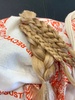 As part of the camping cleanse, the girls got the chop with a special request to keep their plaits!