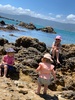 A very windy visit to scorching bay, so no swimming but rock pool exploring and ice cream.