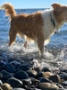 A lovely winter morning at the beach.