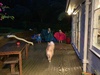 Our kids go a little crazy in the rain...