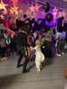 Irisâ€™s last Kindy disco until probably next year when Juni starts! Juni danced the most, Olive enjoyed playing outside and Iris was missing in action with her friend Olive.