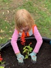 Tamariki nui: botanical gardens! Garden bingo, smelling things, planting flowers and picking vegetables with a take home rocket!