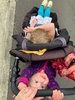 Not so happy hanging in the buggy anymore!