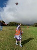 Tamariki nui Wrightâ€™s hill walk and kite fun