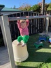 Juni trying to keep up with the big girls, loves her monkey bar at Kpc.