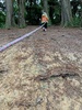 Another rope play Tamariki nui session at Karori Park. With camping style hot chocolate at the end!