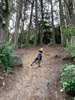 Another rope play Tamariki nui session at Karori Park. With camping style hot chocolate at the end!