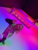 School holidays: te papa trip