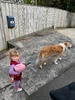 Juni walks a lot these days