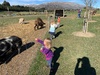 Wanaka Day 2: lavender farm, feeding the animals and madly running around while the four big kids ski.