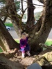 Juni was very stubborn about scootering this morning... she made it all the way to school with a tree stop on the way home too.