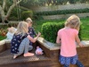 Lockdown day six: girls played mums & dads all morning, Oli read until 10.30! Played four square for PE and biking out the front. Painted some more of the deck while they all painted with water. Which led to face painting. Oli started her sock puppets.