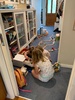 Lockdown day nine: trains and puzzles. Still happily playing
