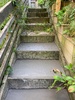 Lockdown day eleven: diy central. Concreting steps and weeding everywhere! Disco and apple strudel to finish.