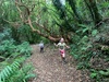 Lockdown day twenty three: Olive woke wanting to make a recycled castle for juni and her frozen characters. Afternoon walk up wrights hill and out at Woodhouse rd. Disco night which ended in emotional teary children...