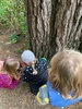 Fairy lane, Karori park. Kids loves it and we had to go around twice!