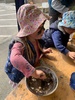 Kpc: dinosaur egg creations followed by sand castles with shells on a cold day.