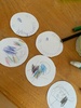 Thank you drawings and cookies for friends