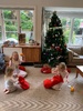 Christmas 2019! Olive for 2 potatoes, Iris 1 and juni 1 from Santa along with lots of lovely little gifts.