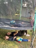 Tramp fun