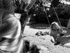 Summer moments