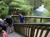Okere falls walk, nice small walk for little legs and great coffee at the store after...