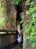 Okere falls walk, nice small walk for little legs and great coffee at the store after...