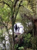 Okere falls walk, nice small walk for little legs and great coffee at the store after...