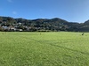 Cousin daycare in k town. Kids had fun in the sun.