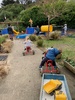 First Kindy day (mummy stayed) loved hanging with Mazie and ran around trying everything. Even enjoyed mat time.