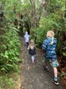 A fairy walk in the rain.