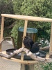 Baby fledgling Tui. Have spent a lot of time on our feeder this last week. Never knew they had orange becks - look more like black birds!