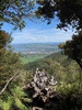 Climbed Mt Tauhara alone this morning. 1.15hr up, 45min down. Amazing track of canal paths, root banisters, mossy tree rooftops and the. A stunning 360 view of Taupo. Tom and poppa planning for race tomorrow...