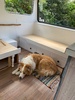 Caravan: new kickboard! And repurposed the old drawers with new fronts. Loving whitewash and plywood.