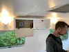 Caravan: new lights! And the pantry is getting new panels.
