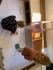 Caravan: vinyl pattern turns into a floor drawing masterpiece!