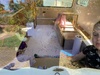 Caravan: vinyl pattern turns into a floor drawing masterpiece!