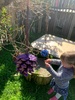 Kpc painting everything today! Juni and maisieâ€™s friendship has taken off