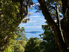 How good is Stewart Island (Rakiura). A â€œboysâ€ trip, where the five of us completed the Rakiura Track over 3 days, then I ran it the following morning before breakfast. Saw 2 kiwi in the wild, blue mushrooms, stunning views, incredible birdlife and undisturbed flora. A super special place.