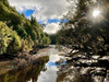 How good is Stewart Island (Rakiura). A â€œboysâ€ trip, where the five of us completed the Rakiura Track over 3 days, then I ran it the following morning before breakfast. Saw 2 kiwi in the wild, blue mushrooms, stunning views, incredible birdlife and undisturbed flora. A super special place.
