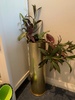 More new plants