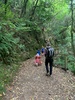 Easter egg hunt and walk in Wilton bush with the Turners.