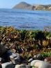 Makara beach explore