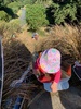 Mt Vic nature trail with tamariki nui