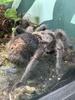 The zoo!