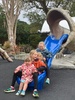 The zoo!