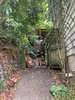 Child labour... kids did a great job and we got the wood moved within and hour and a half.